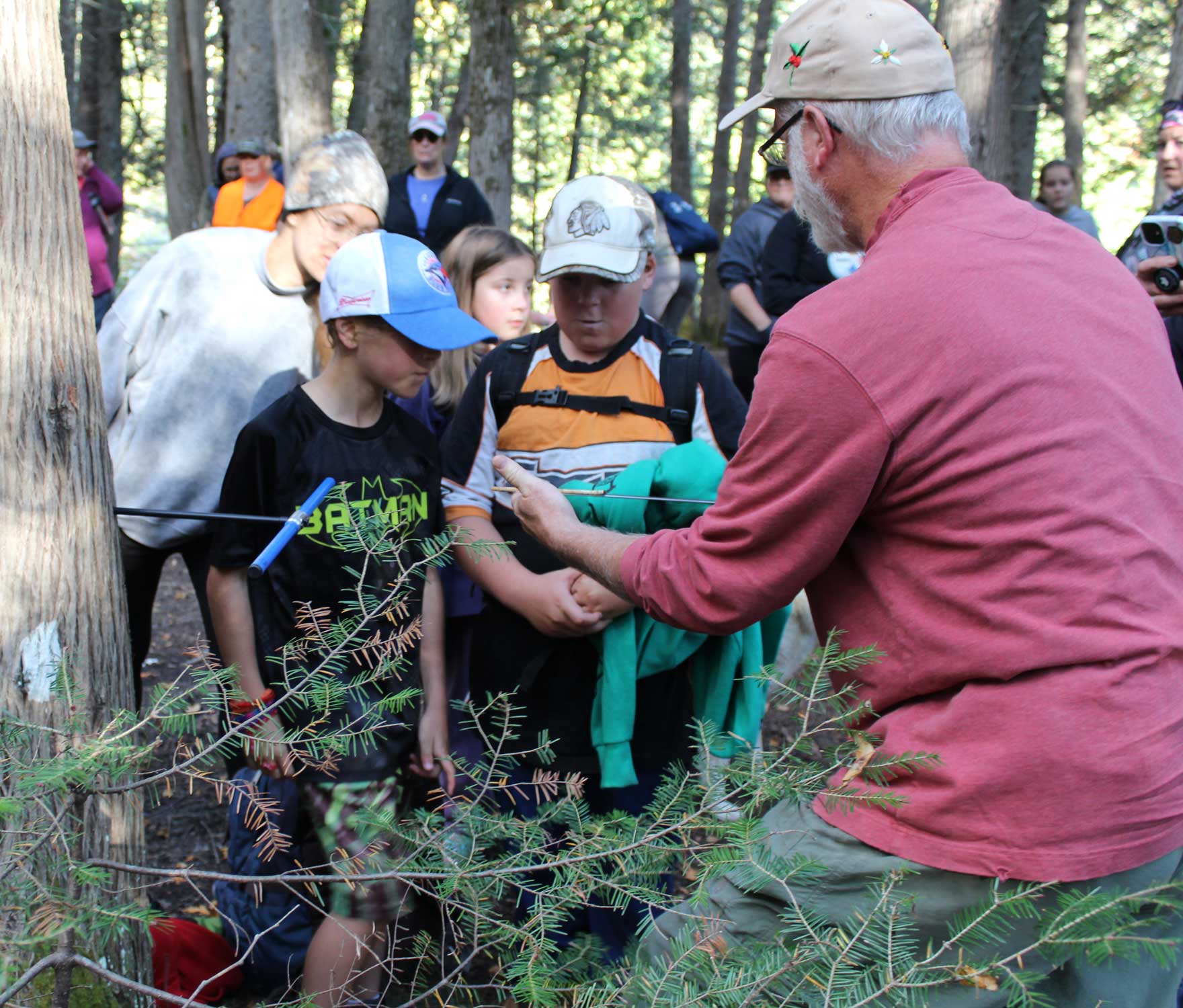 Swallow Nesting Boxes