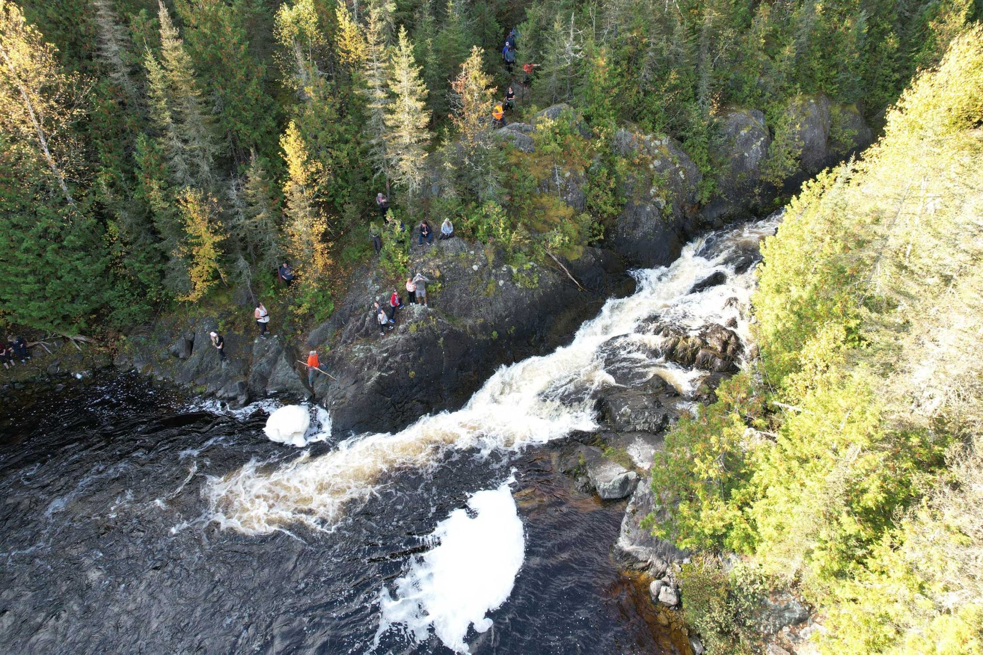 Wintergreen Conservation Area